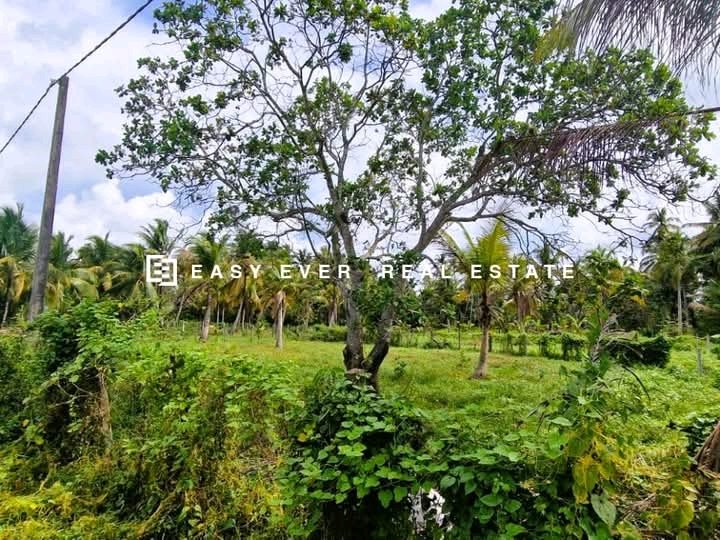 Commercial Land for Sale in Kuliyapitiya