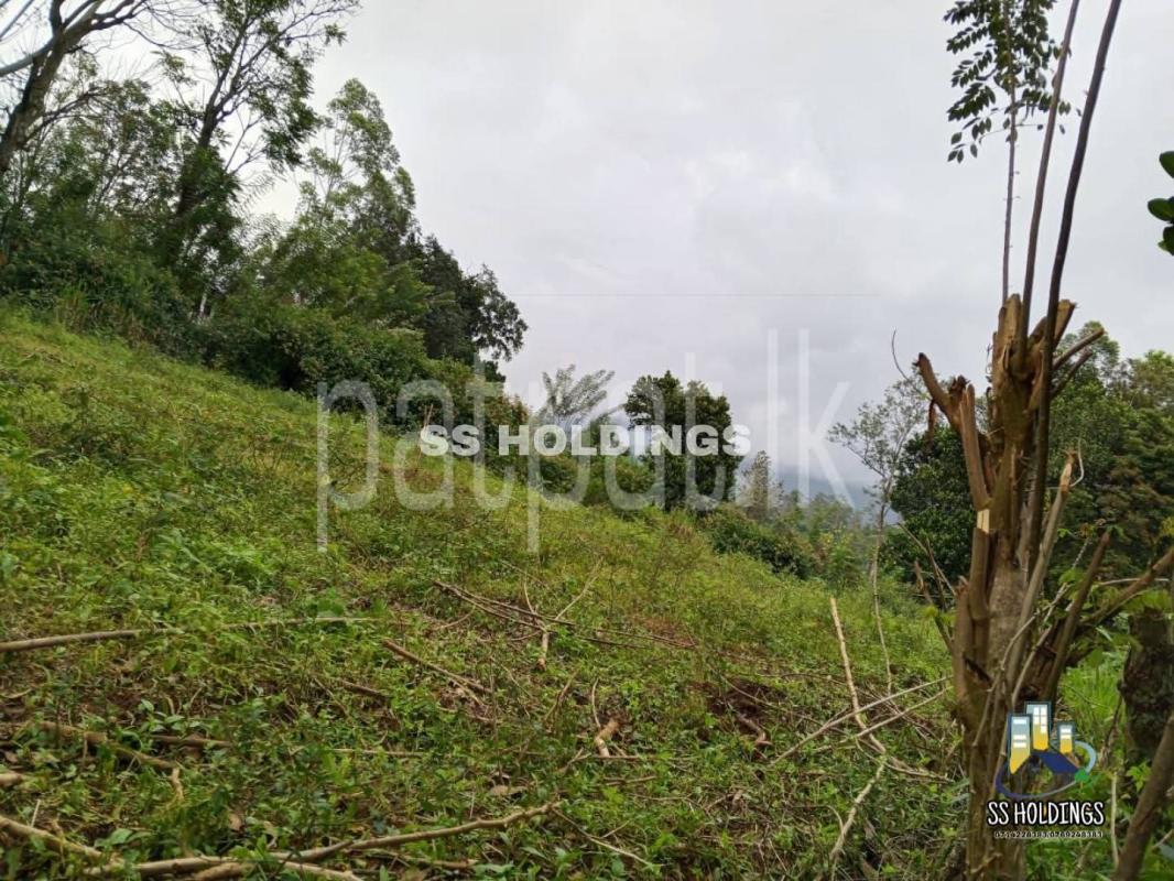 Commercial Land for Sale in Welimada