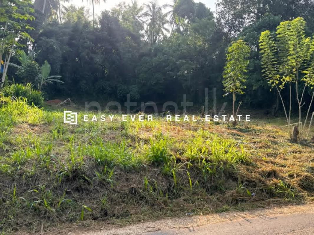 Residential Land for Sale in Veyangoda