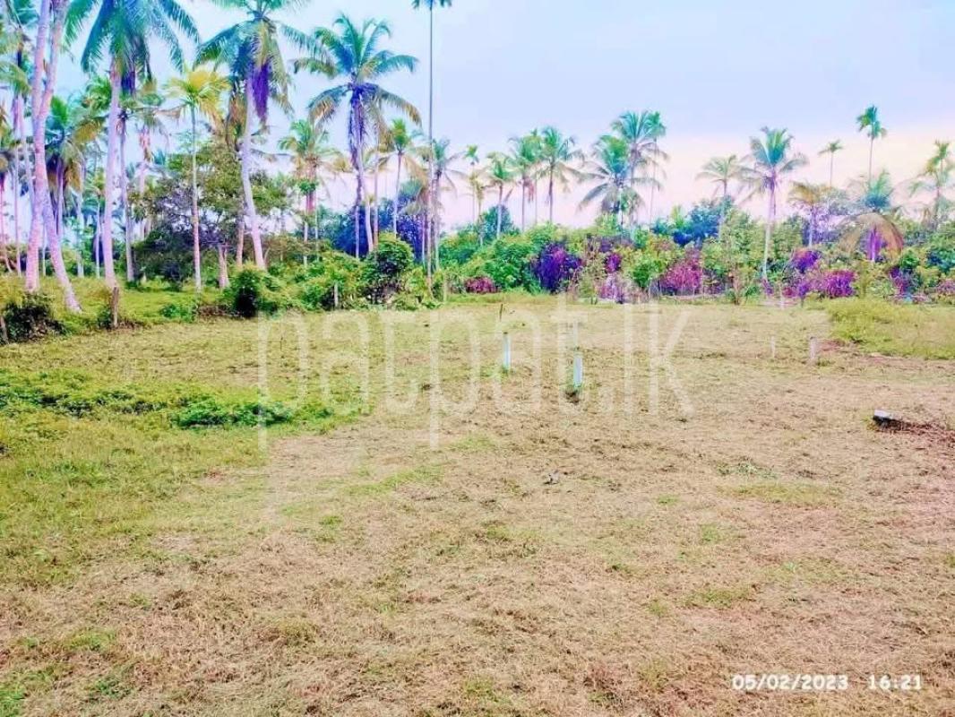 Agricultural Land for Sale in Panadura