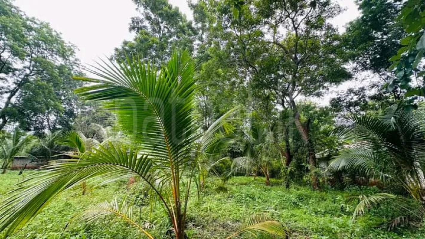 Residential Land for Sale in Badulla ads-image-1