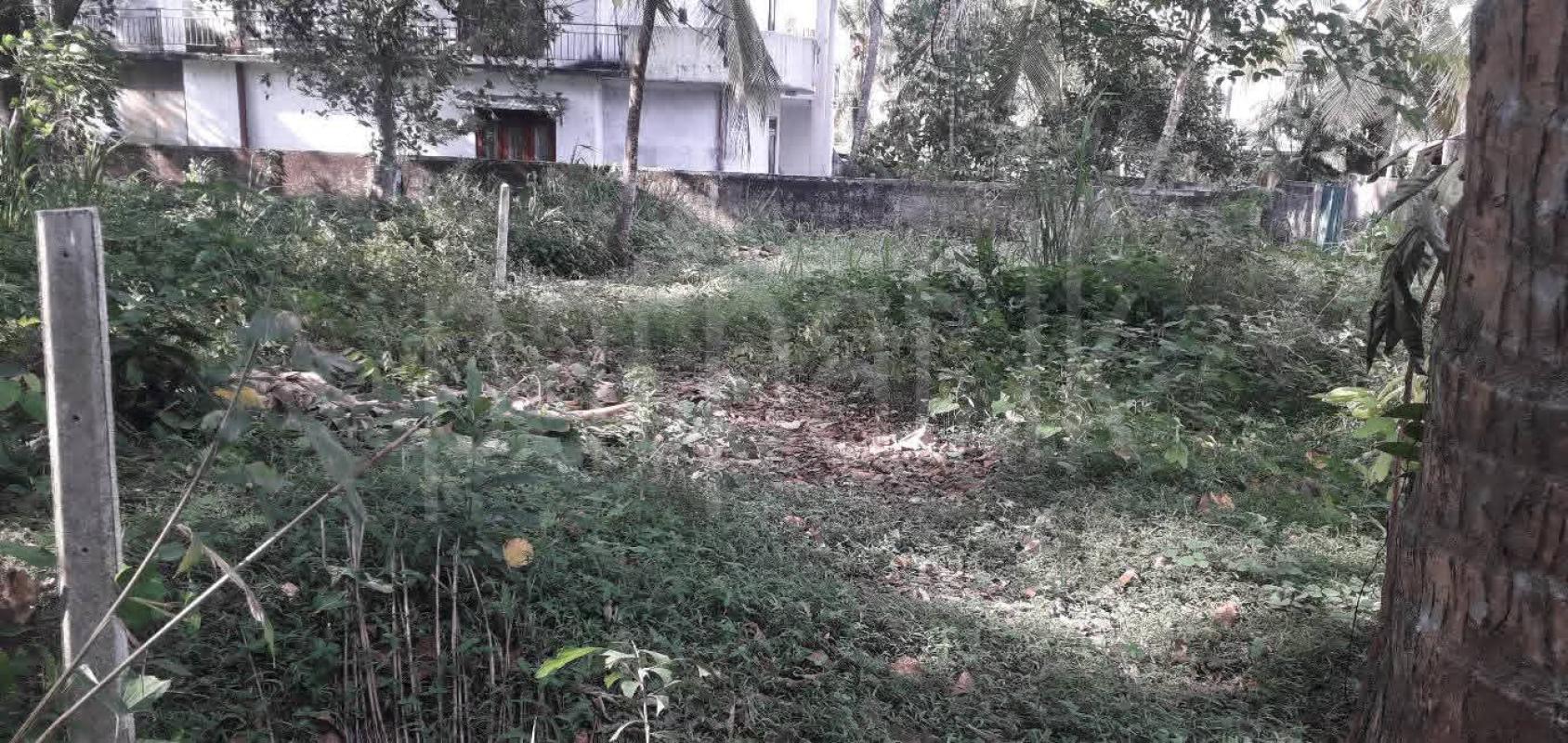 Agricultural Land for Sale in Athurugiriya