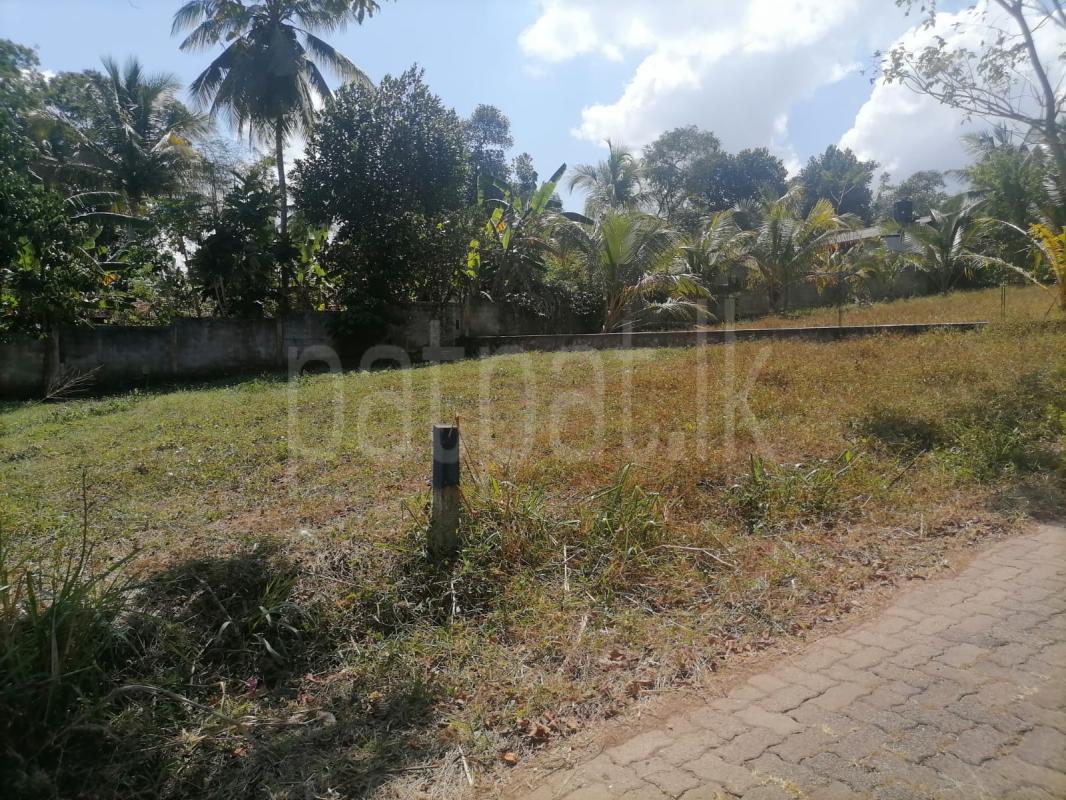 Commercial Land for Sale in Ambepussa