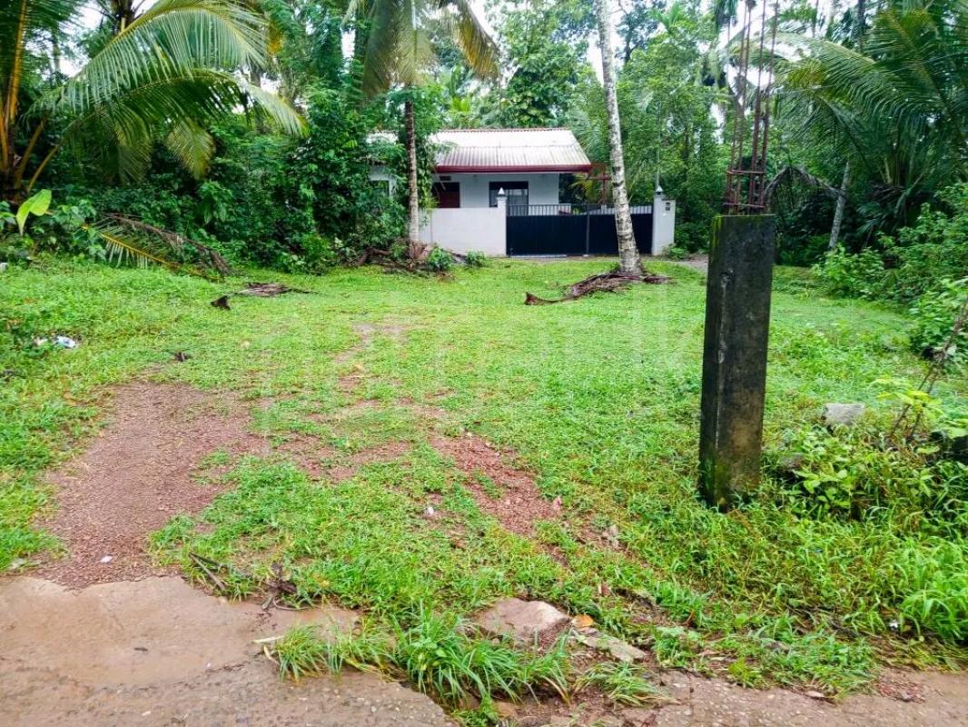 Residential Land for Sale in Maho