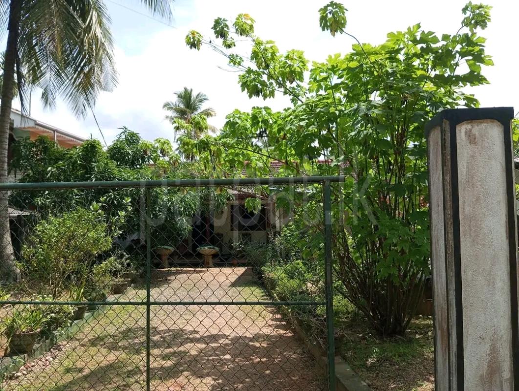 House for Sale in Kuliyapitiya ads-image-1