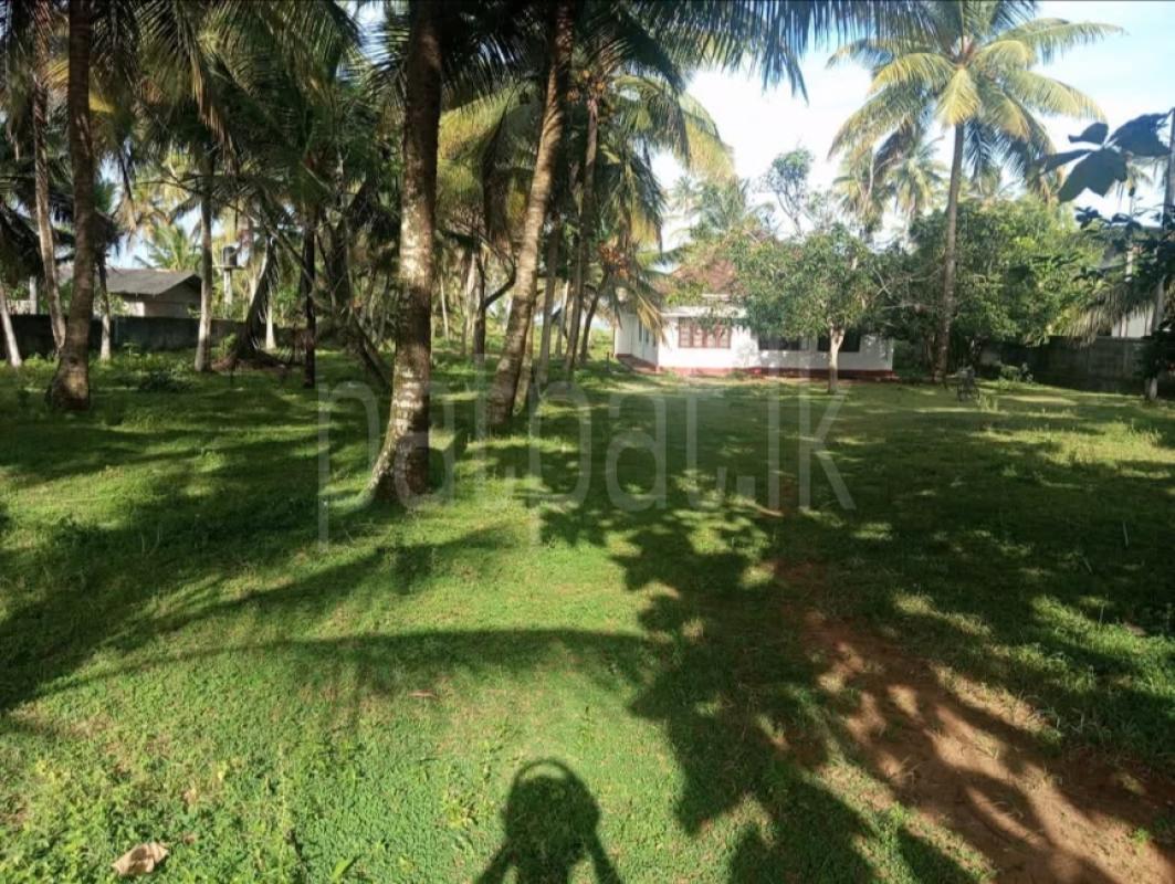Commercial Land for Sale in Wadduwa ads-image-1