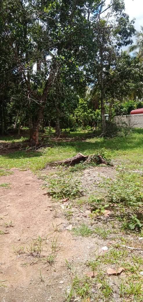 Agricultural Land for Sale in Kirillawala