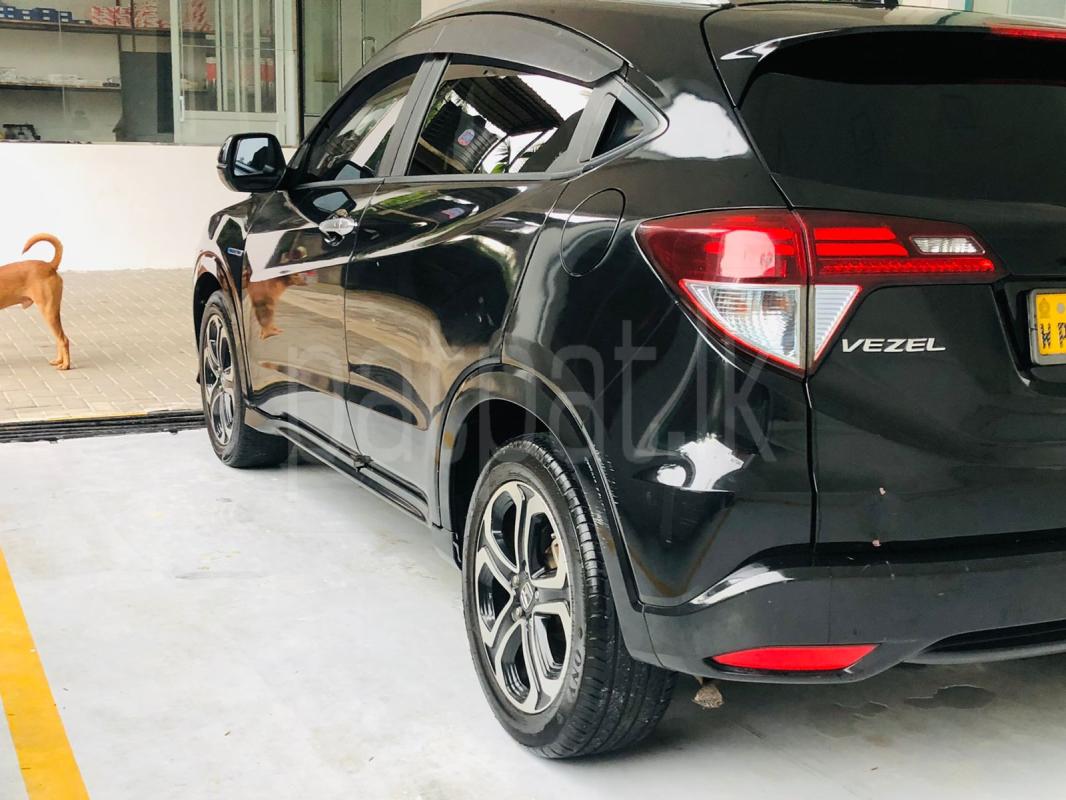 Advertisement image 3