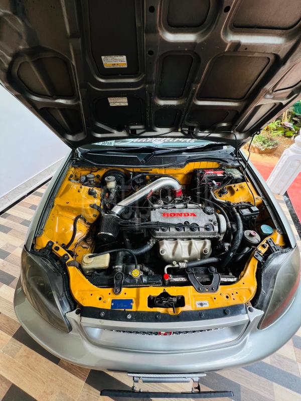 Advertisement image 5