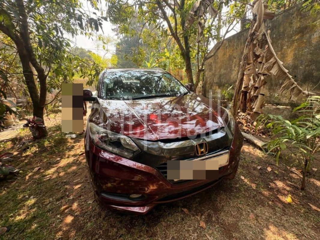 Advertisement image 1