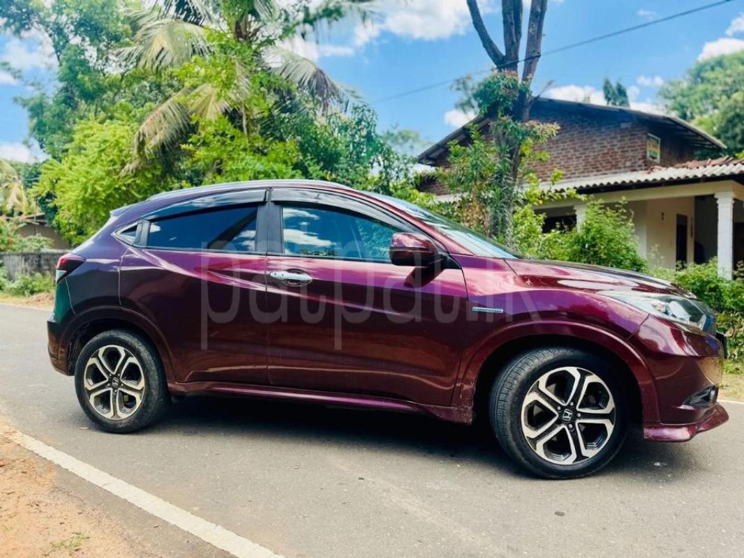 Advertisement image 5