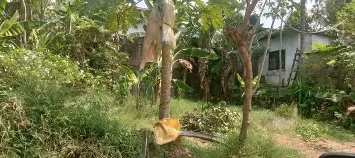 Commercial Land for Sale in Homagama