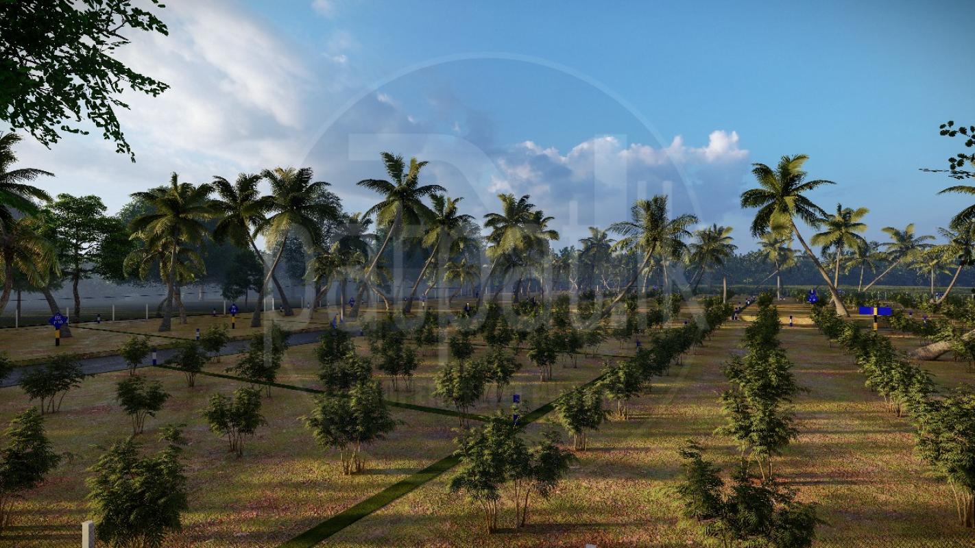 Commercial Land for Sale in Millaniya ads-image-1