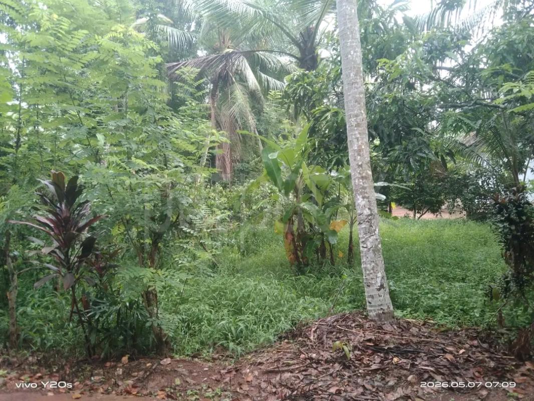 Agricultural Land for Sale in Maho