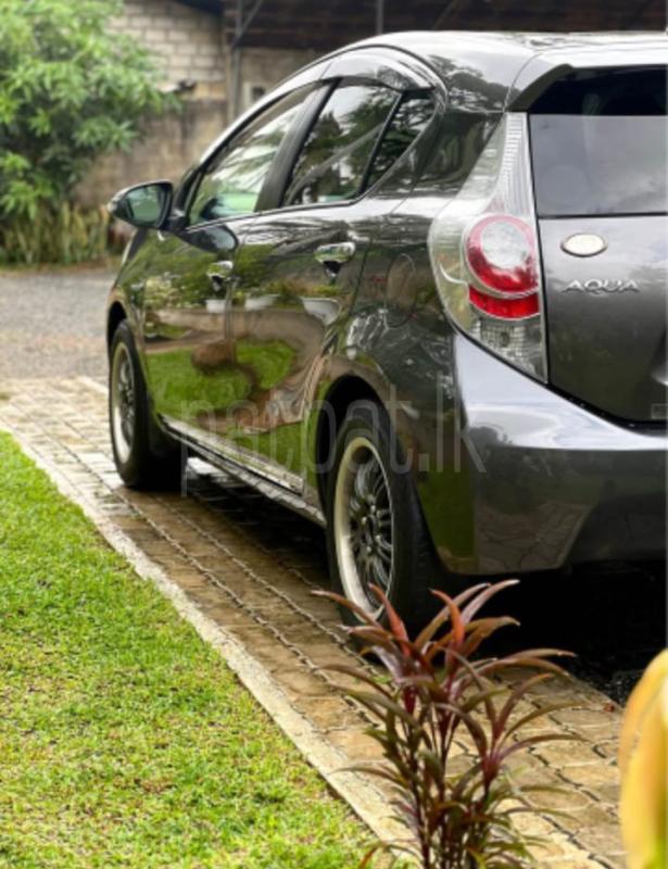 Advertisement image 3