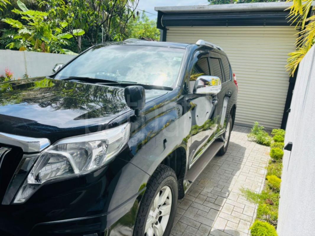 Advertisement image 3