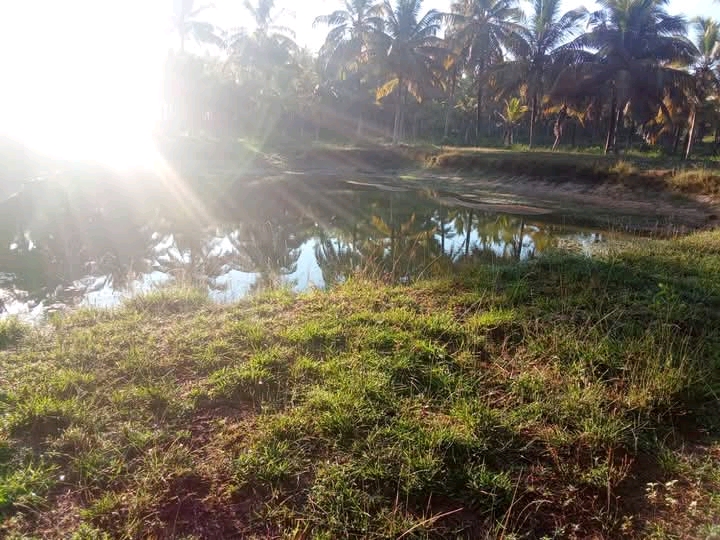 Commercial Land for Sale in Anamaduwa