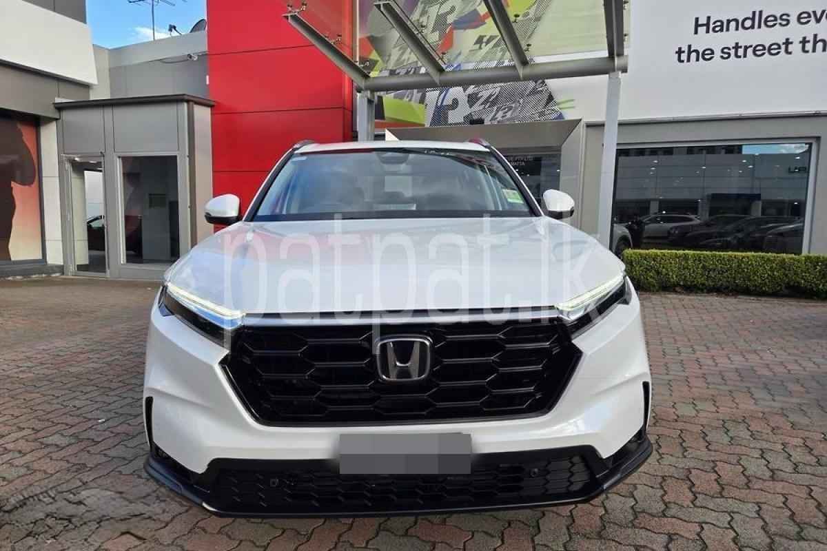 Advertisement image 1