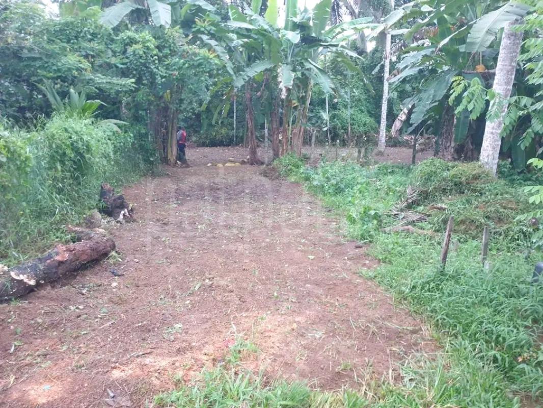 Residential Land for Sale in Kelaniya
