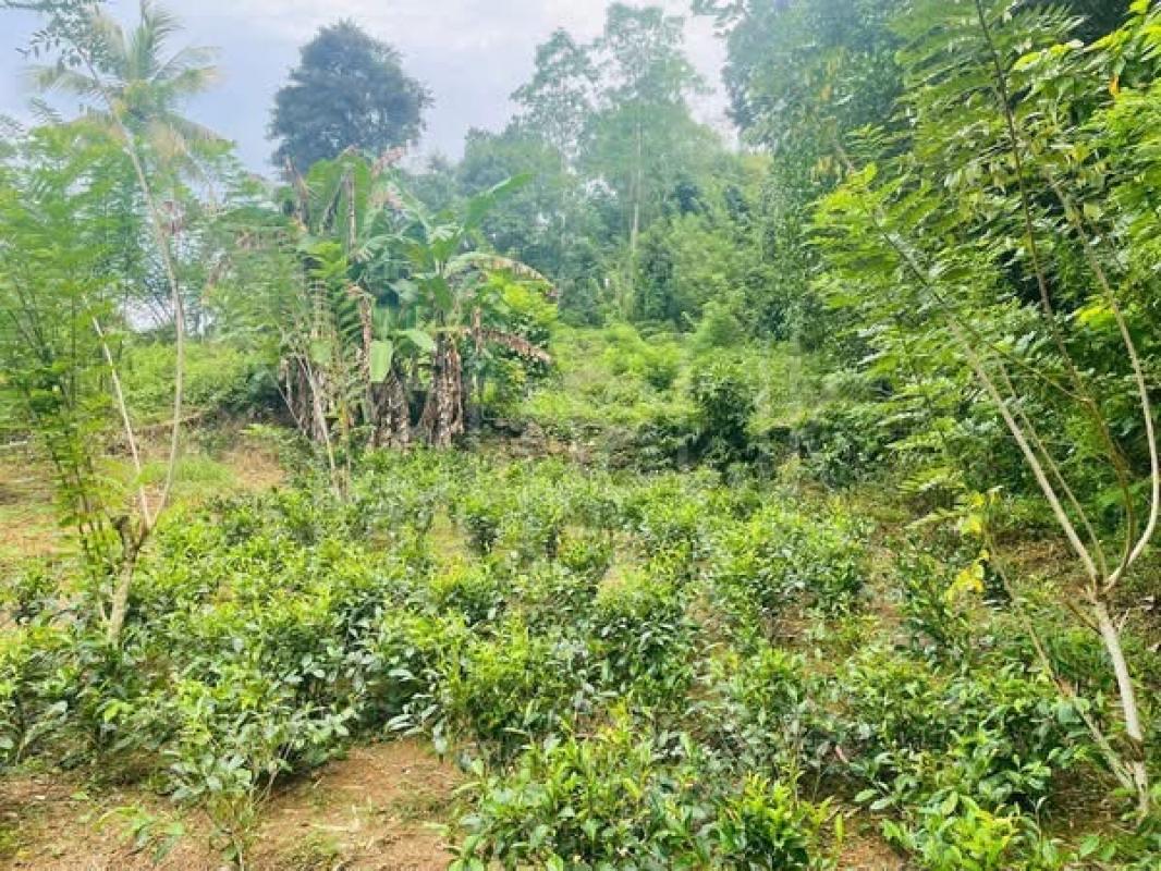 Residential Land for Sale in Imaduwa ads-image-1