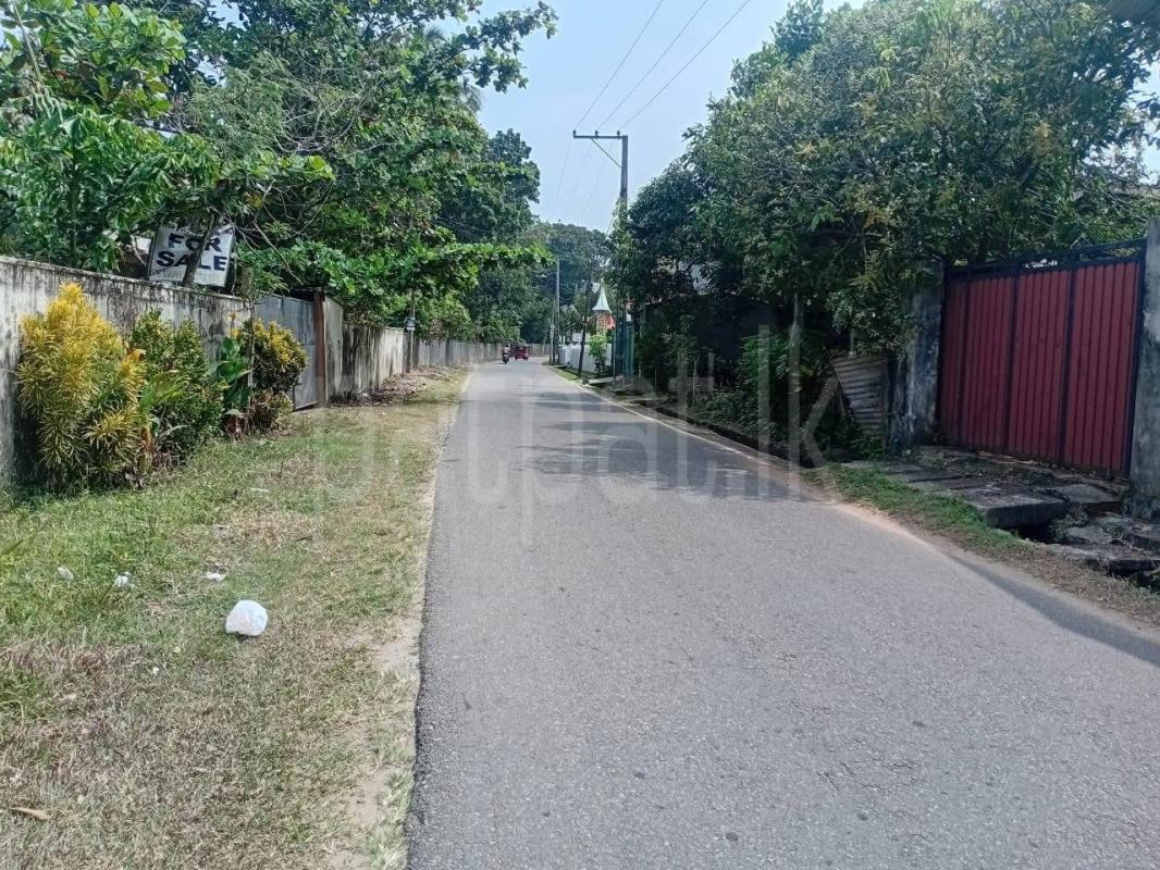 Agricultural Land for Sale in Panadura ads-image-1