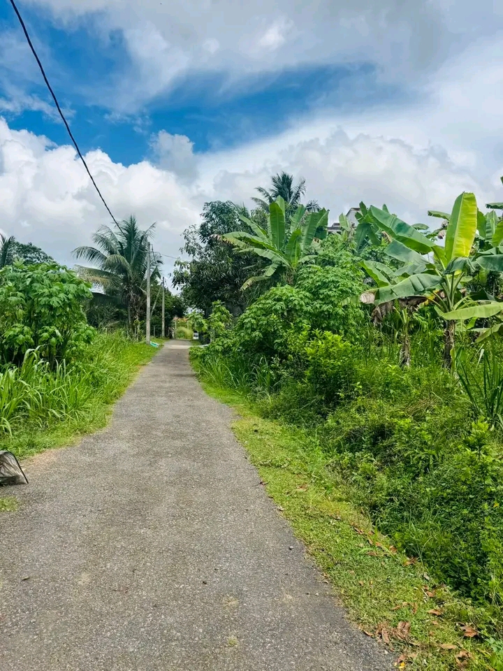 Commercial Land for Sale in Kaduwela