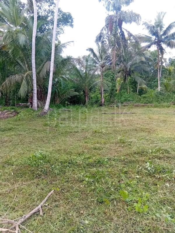 Agricultural Land for Sale in Mawathagama
