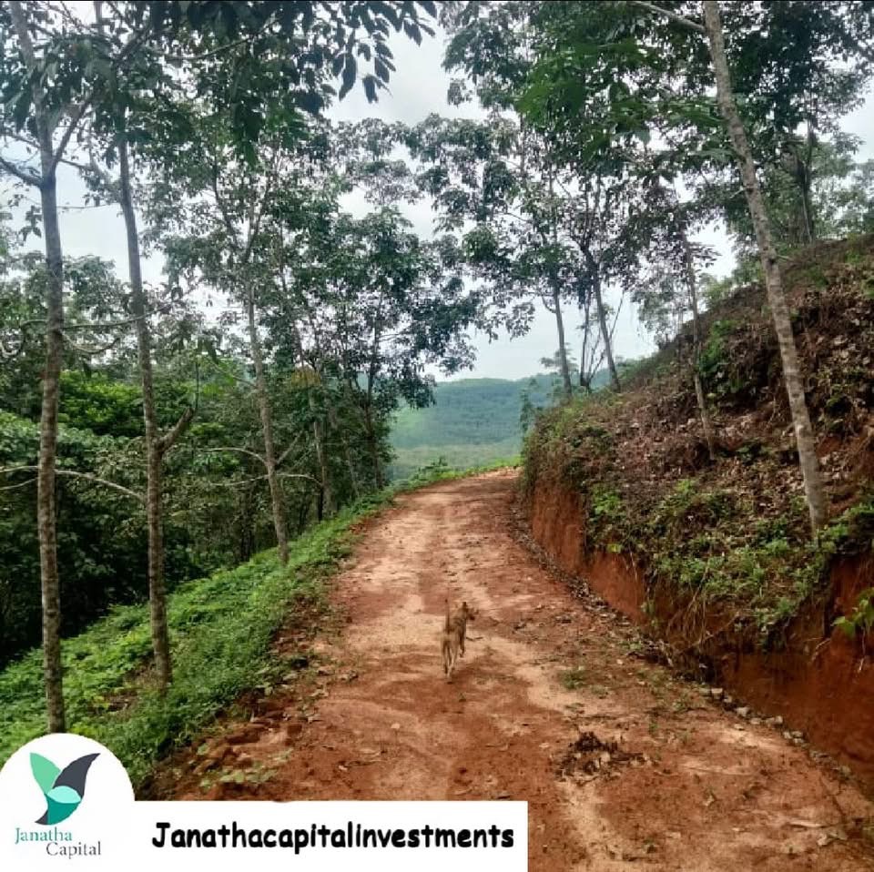 Agricultural Land for Sale in Rajagiriya