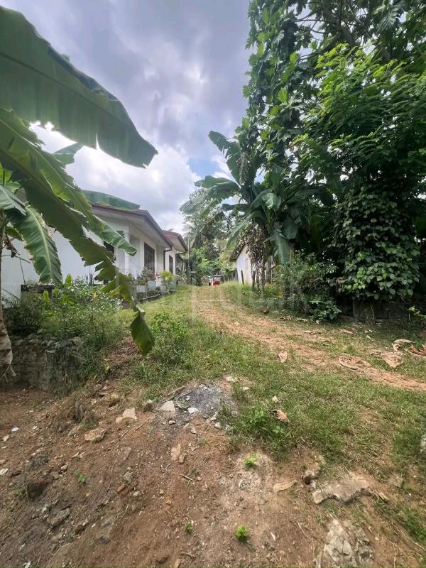 Agricultural Land for Sale in Ridigama ads-image-1