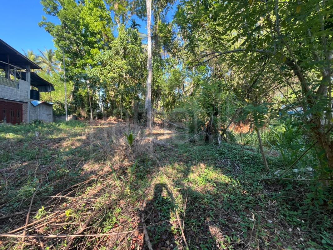 Commercial Land for Sale in Rambukkana