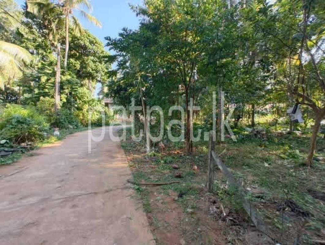 listing-image