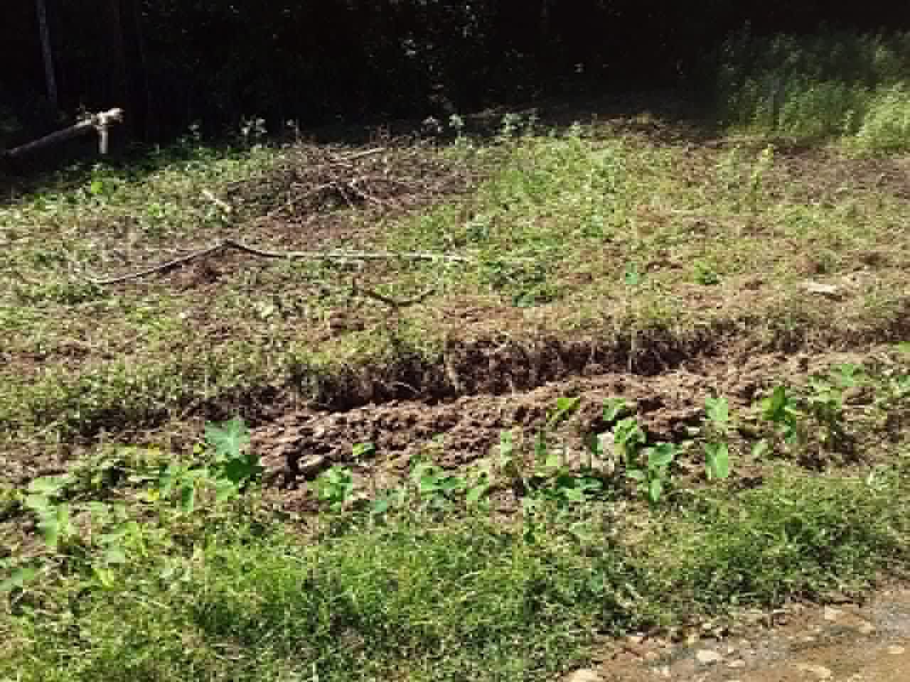 Residential Land for Sale in Gampola ads-image-1