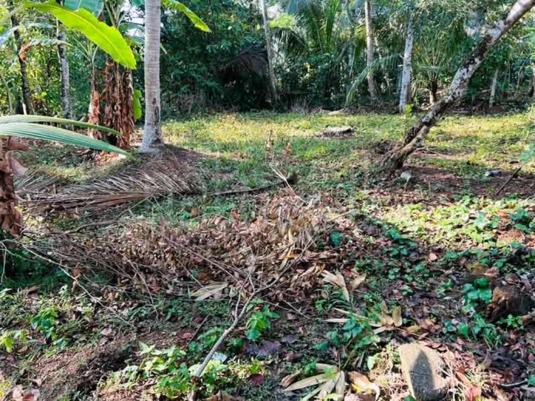 Commercial Land for Sale in Ragama