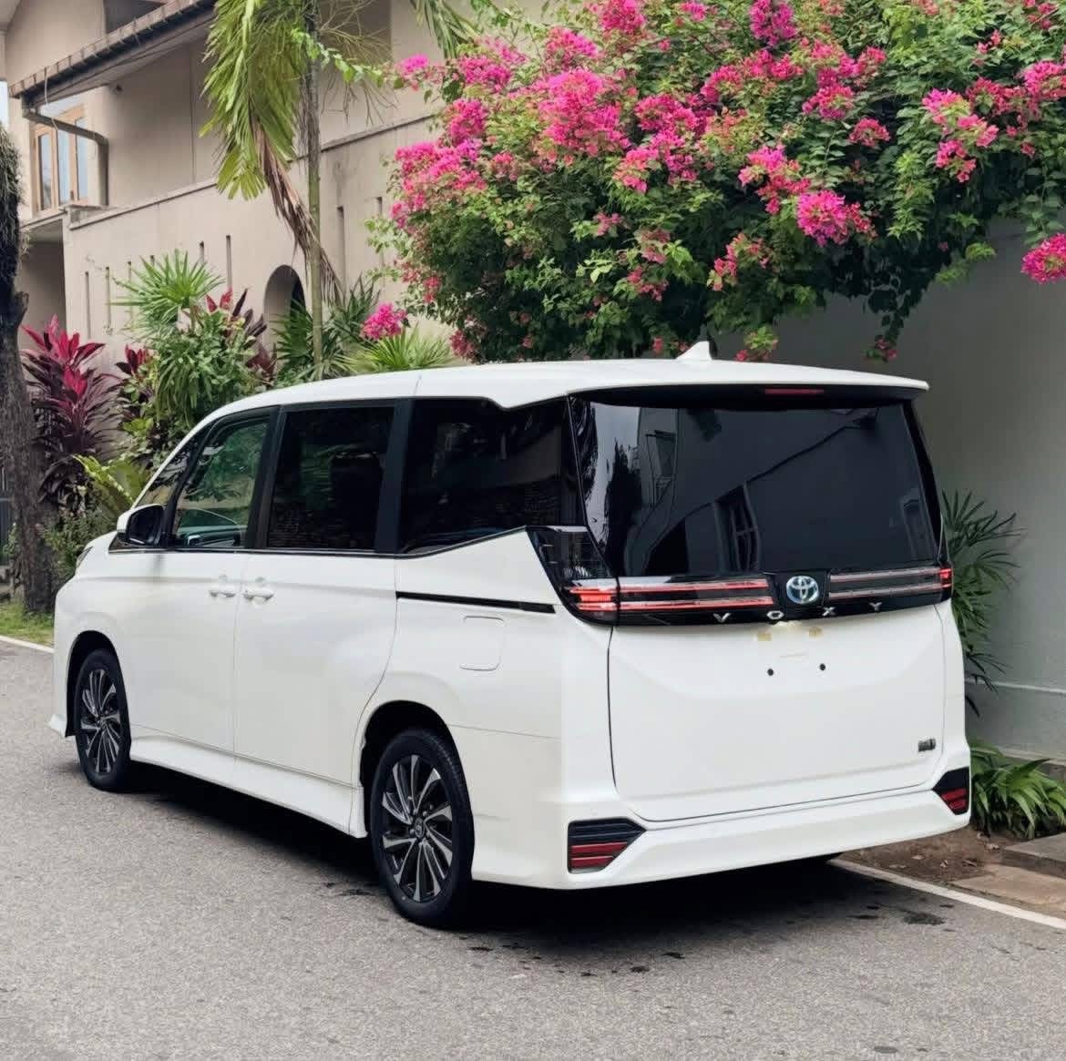 Advertisement image 4