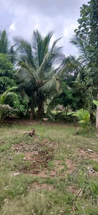 Commercial Land for Sale in Kataragama