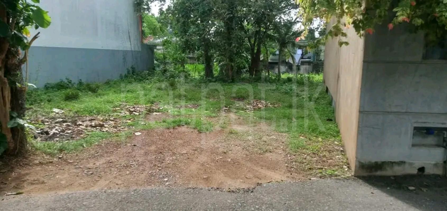 Residential Land for Sale in Ridigama