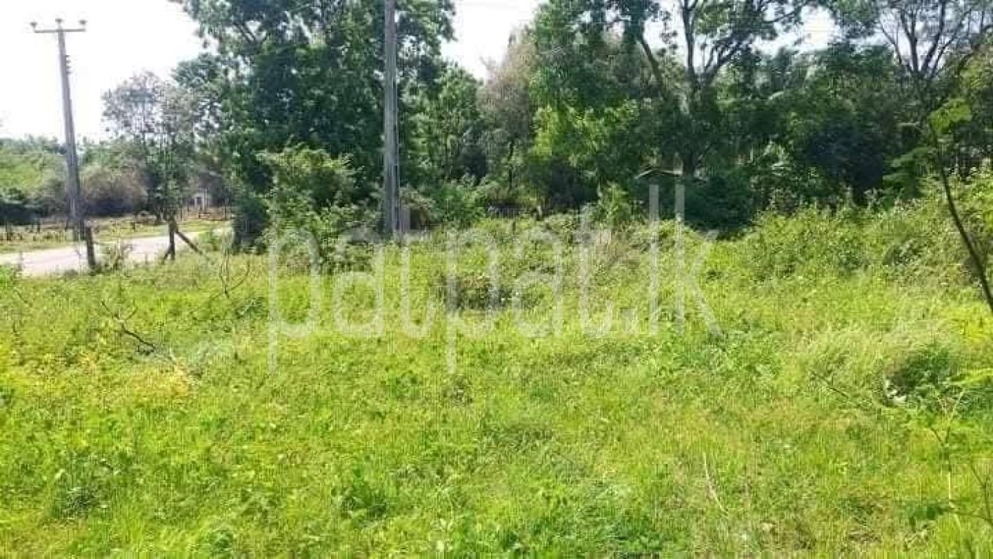 Residential Land for Sale in Kataragama