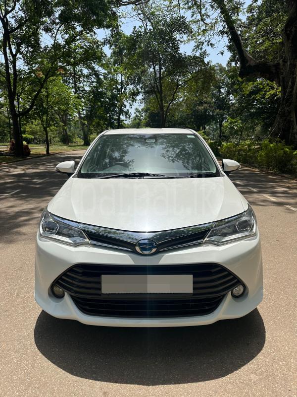 Advertisement image 1