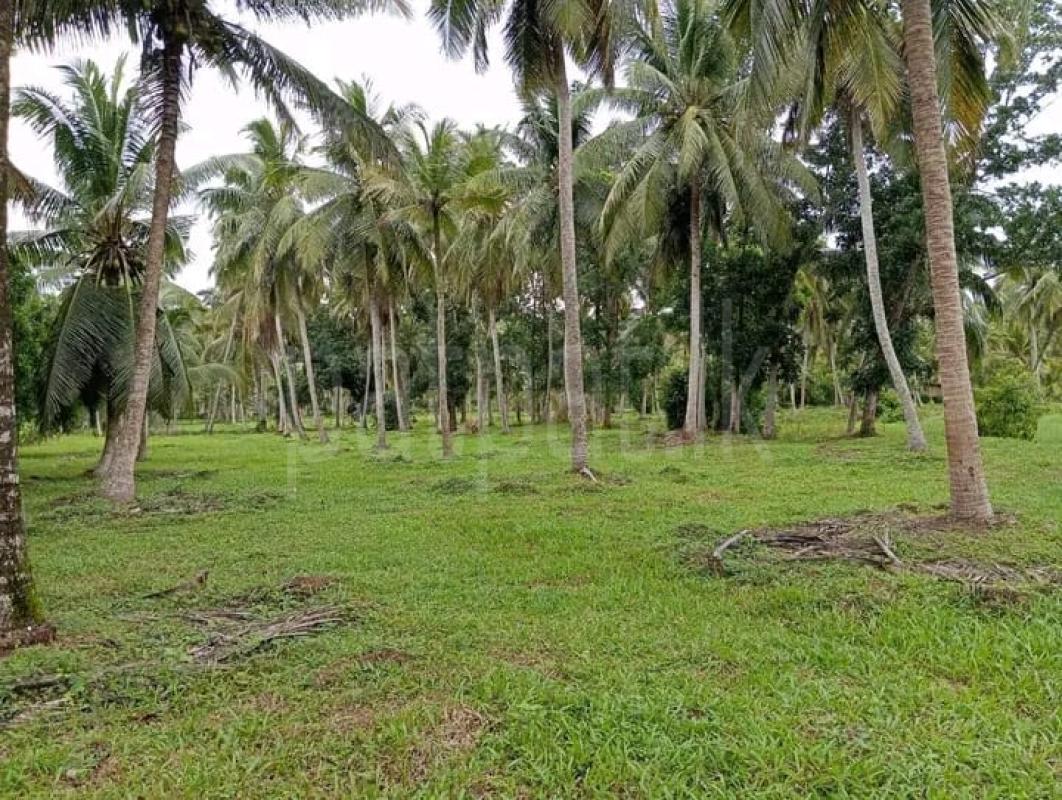 Commercial Land for Sale in Kuliyapitiya ads-image-1