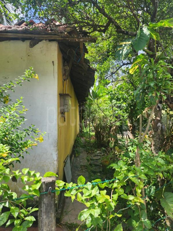 Residential Land for Sale in Piliyandala ads-image-1