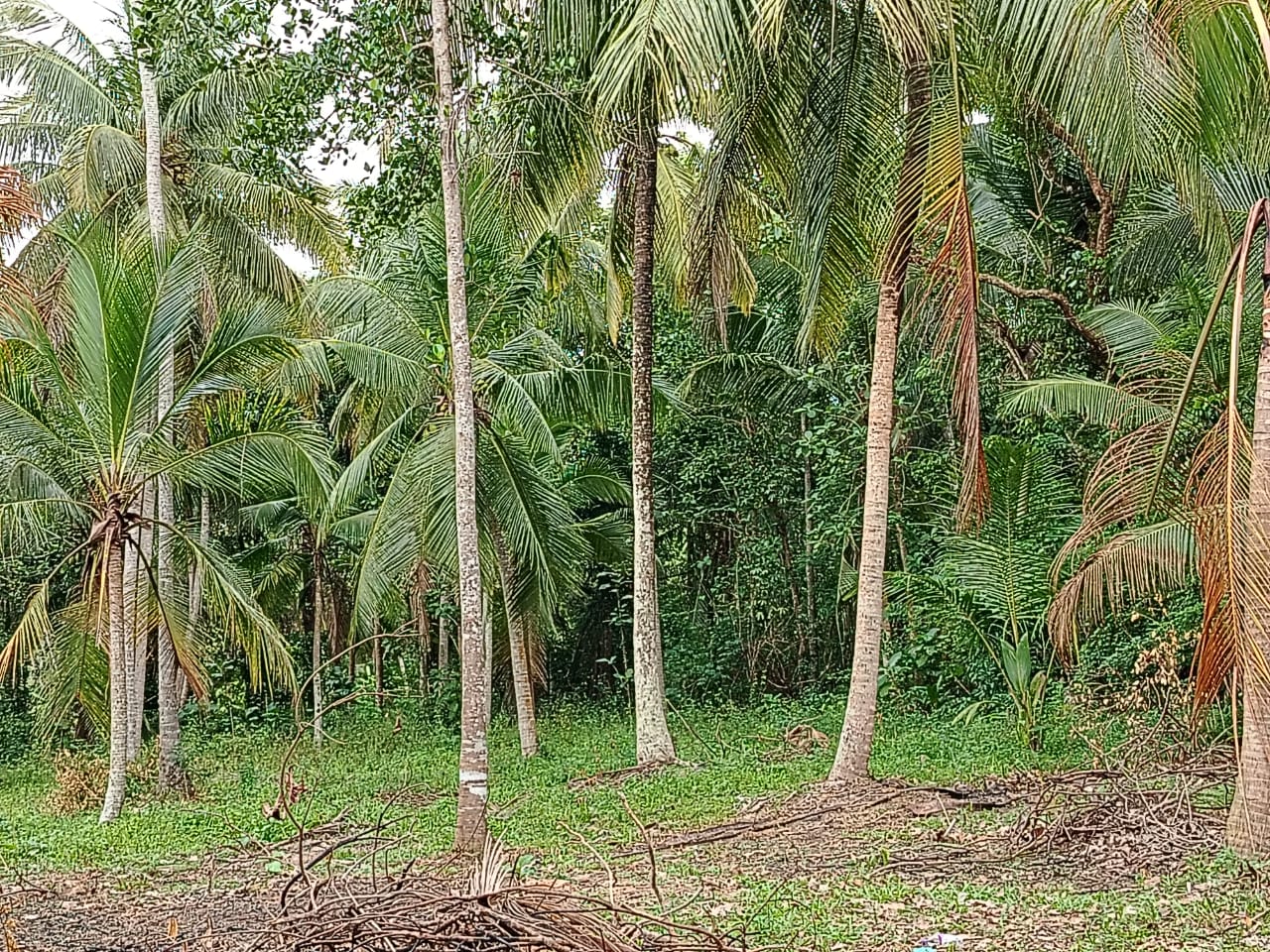 Residential Land for Sale in Dankotuwa