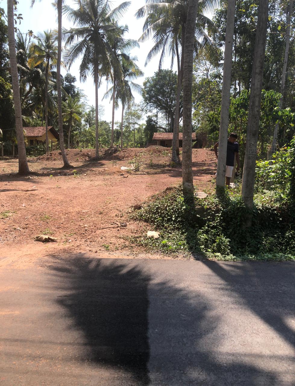 Residential Land for Sale in Katunayake