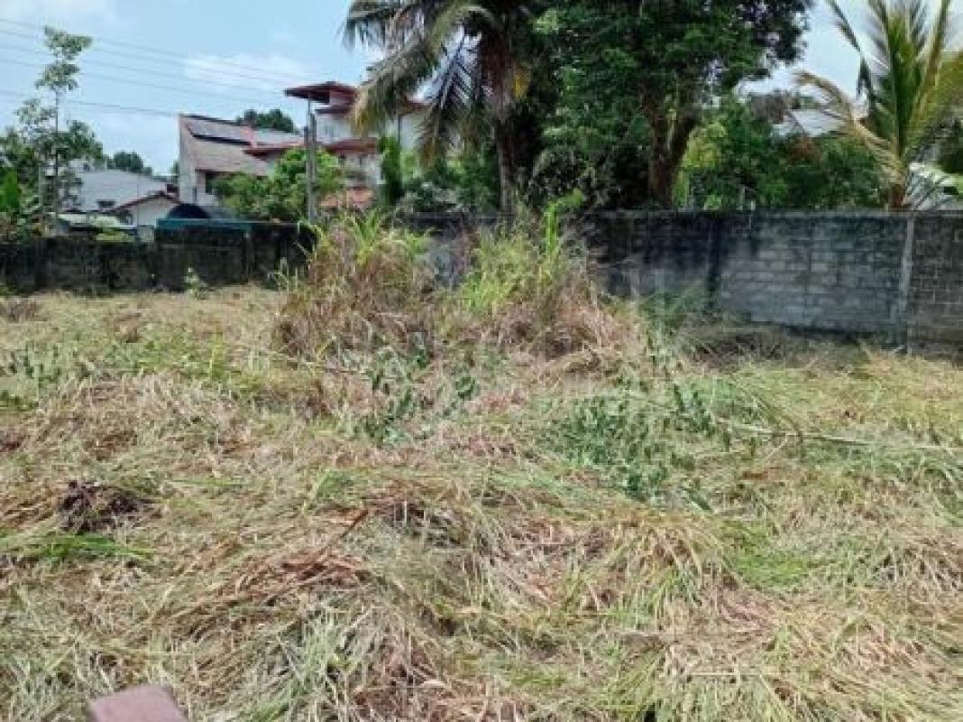 Residential Land for Sale in Piliyandala