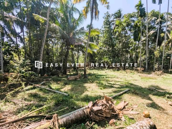 Commercial Land for Sale in Athurugiriya