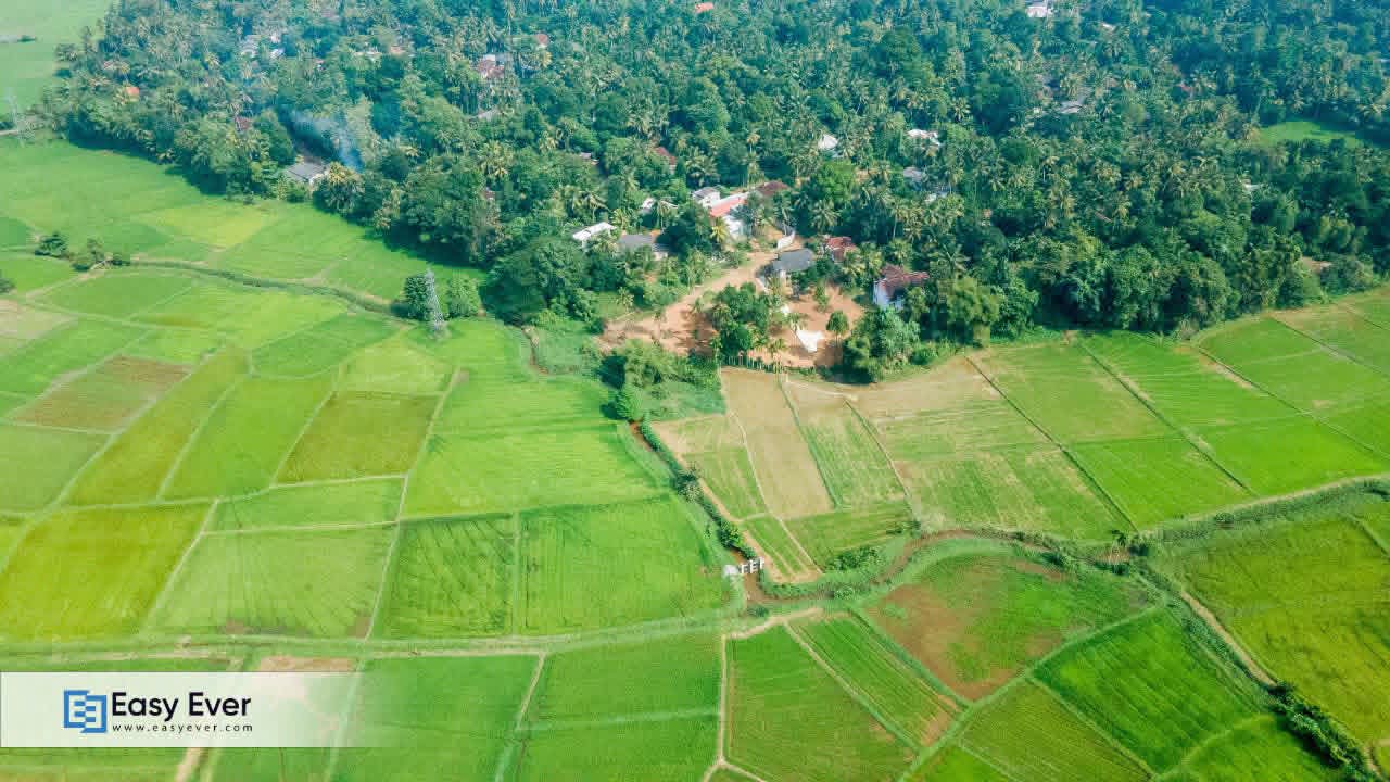 Residential Land for Sale in Nittambuwa