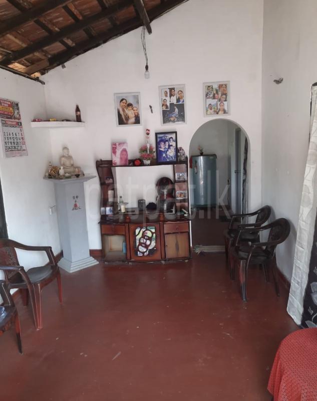 House for Sale in Ekala ads-image-1