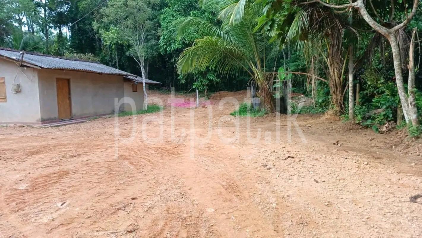 Residential Land for Sale in Ridigama