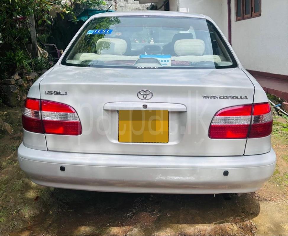 Advertisement image 2