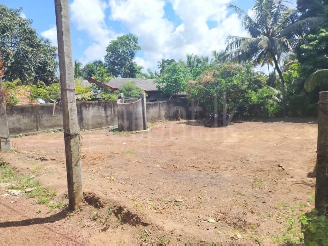 Residential Land for Sale in Kandana