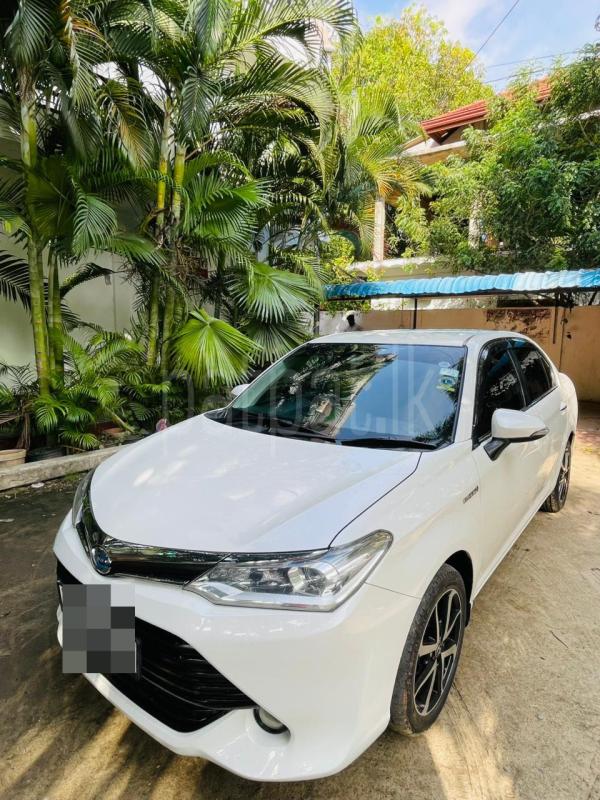 Advertisement image 3